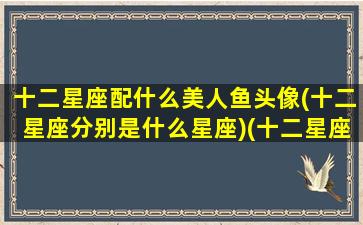 十二星座配什么美人鱼头像(十二星座分别是什么星座)(十二星座化身美人鱼 美人鱼公主)